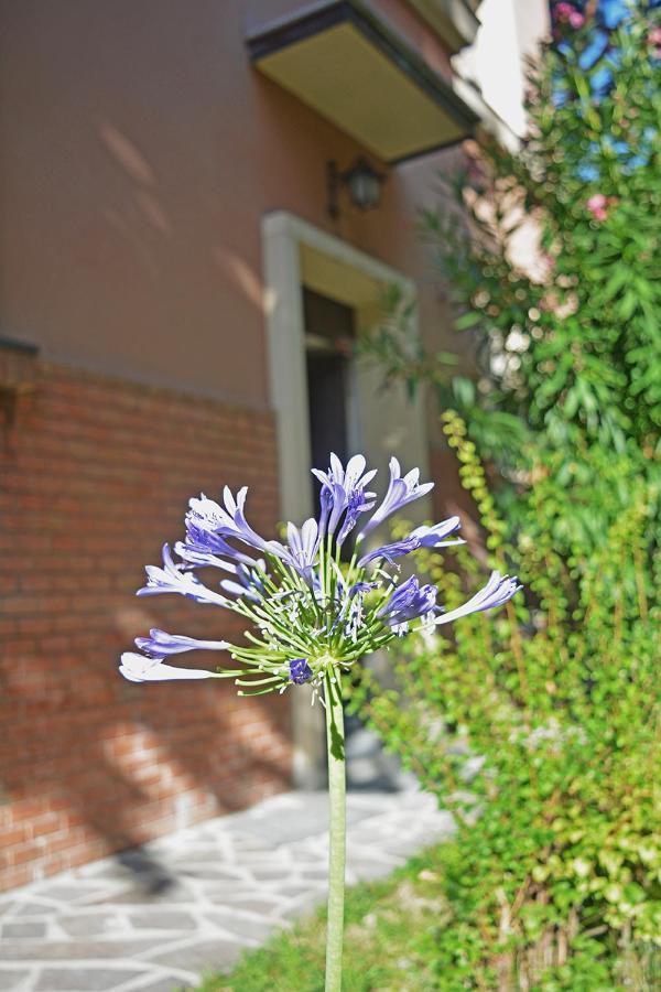 Apartament Bondi900 - Tigli Bolonia Zewnętrze zdjęcie
